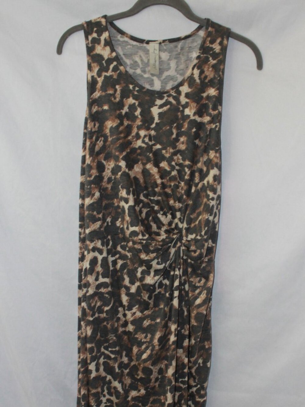 Allison Joy Leopard Print Dress
